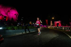 BIB: 
                            <button type="button" onclick="openModal(26552518)" class="btn btn-primary btn-sm float-right btn-popup" data-toggle="modal" data-target=".modal-high-quality">
                        <i class="fas fa-shopping-cart"></i> Add to Cart
                    </button>
                                            <button type="button" onclick="isThisMe(26552518, true)" class="btn btn-success btn-sm float-right btn-popup btn-isme hidden" data-toggle="tooltip" data-placement="bottom" title="นี่คือรูปของคุณใช่ไหม คลิกที่นี่เพื่อเอาเข้าอัลบั้ม">
                        <i class="fas fa-plus"></i> Add to album
                    </button>
                    <button type="button" onclick="isThisMe(26552518, false)" class="btn btn-warning btn-sm float-right btn-popup btn-isnotme hidden">
                        <i class="fas fa-ban"></i> Remove from album
                    </button>